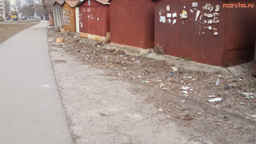 Курск - Серёгина 31