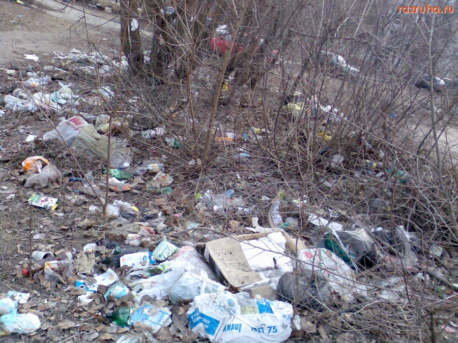 Курск - Гадят во дворе