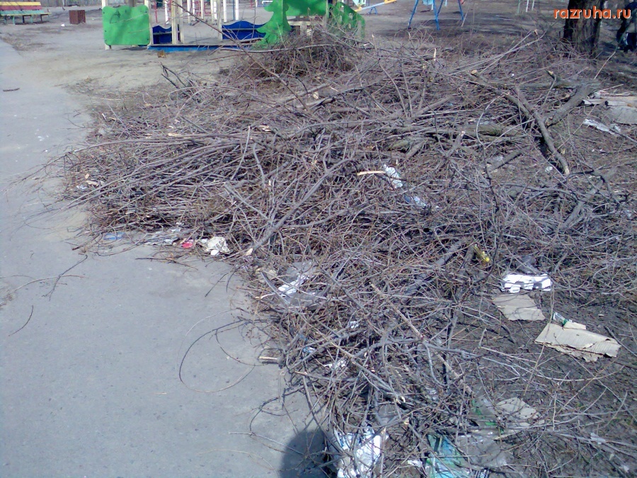 Курск - Помойка Островского 8