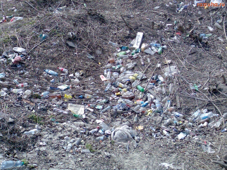 Курск - Мусор возле остановки