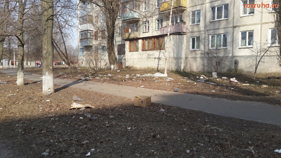 Курск - Серёгина 47