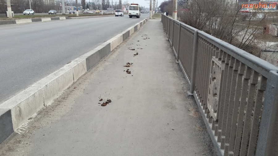 Курск - Сеймский (Ламоновский) мост