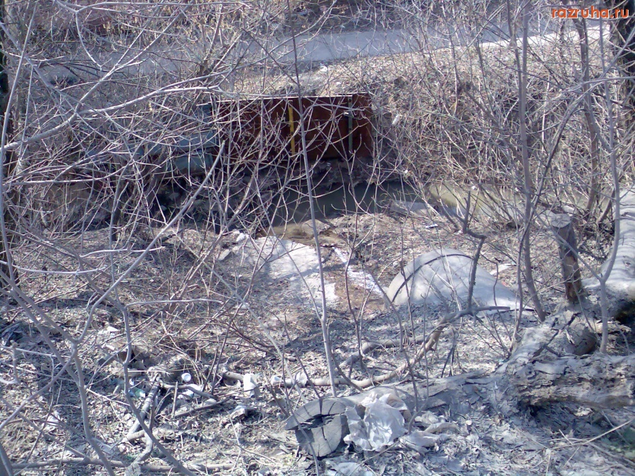 Курск - Берега Вонючки