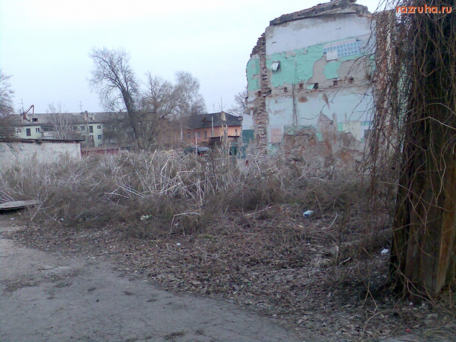 Курск - Стена от дома