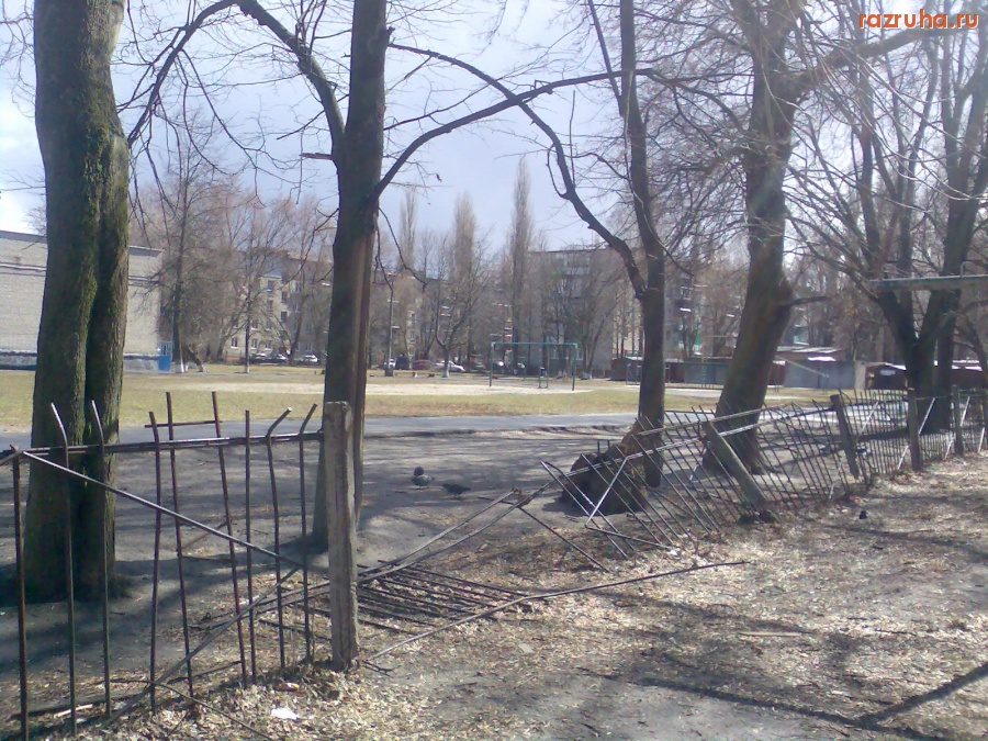 Курск - Школьный забор