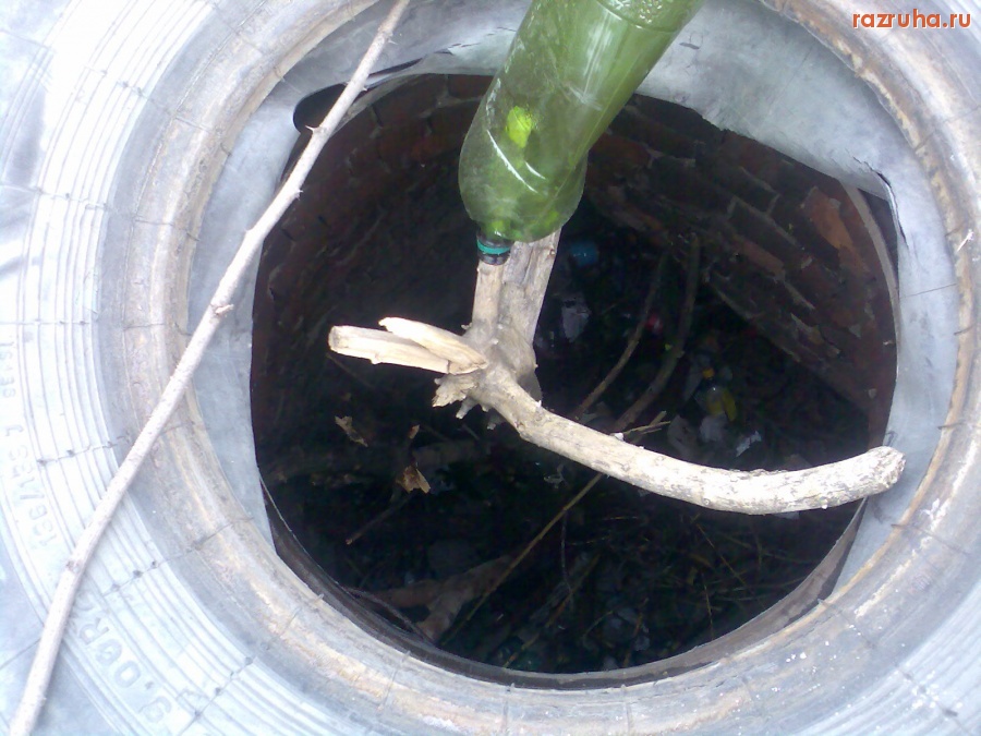 Курск - Люк на Театральной