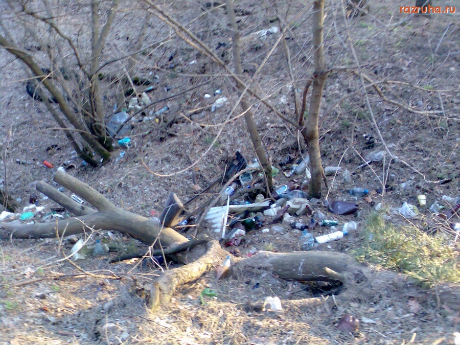 Курск - Загаженный овраг