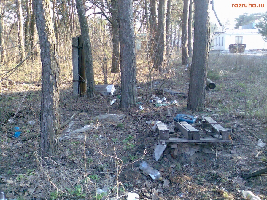 Курск - Мусор в лесу на ВДНХ