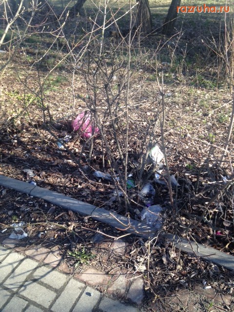 Курск - Курский колледж культуры