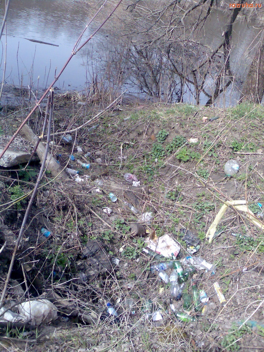Курск - Берега с мусором