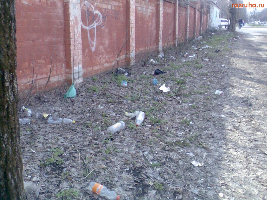 Курск - Мусор кидают у тропы