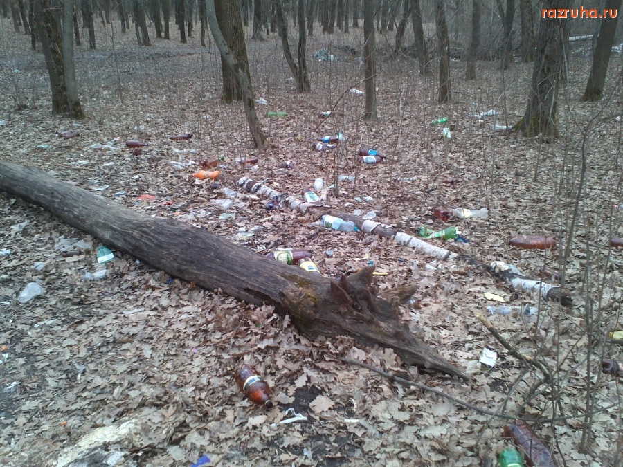 Курск - Свалки в лесу на Орловской