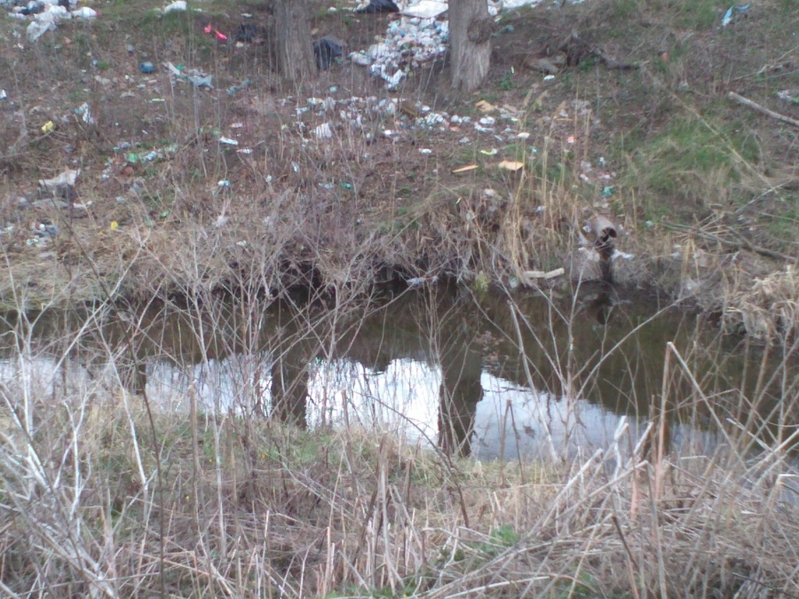 Курск - а на том берегу...