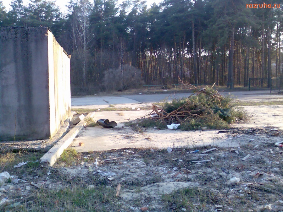 Курск - На территории лесничества