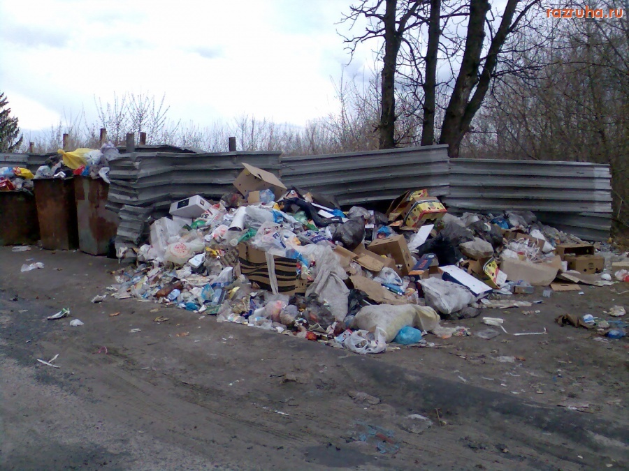 Курск - Куча на мусорке