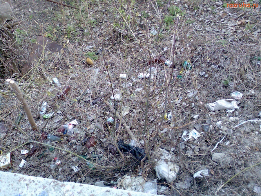 Курск - Мусор