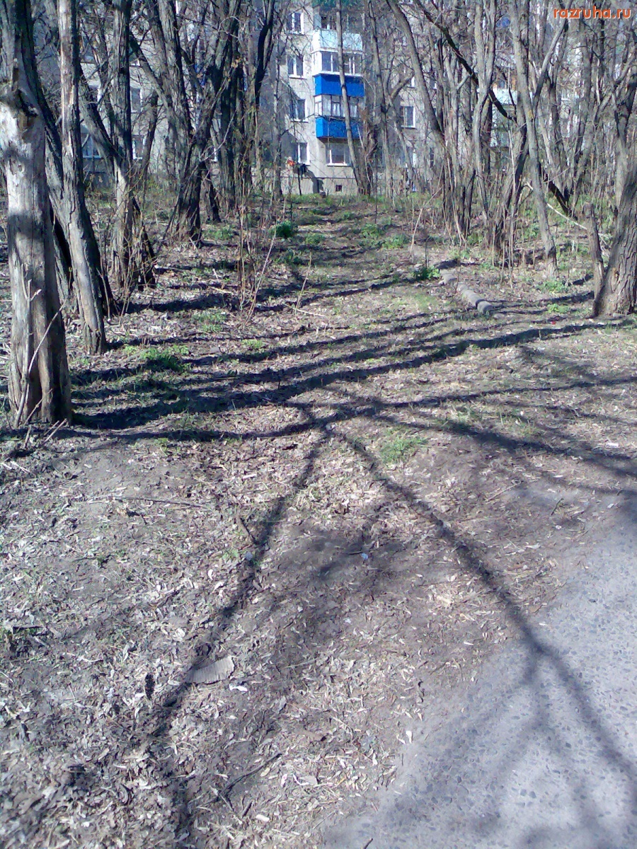 Курск - Заросло