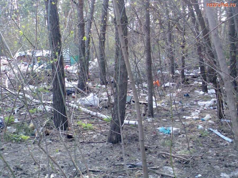 Курск - Помойка загаживает лес