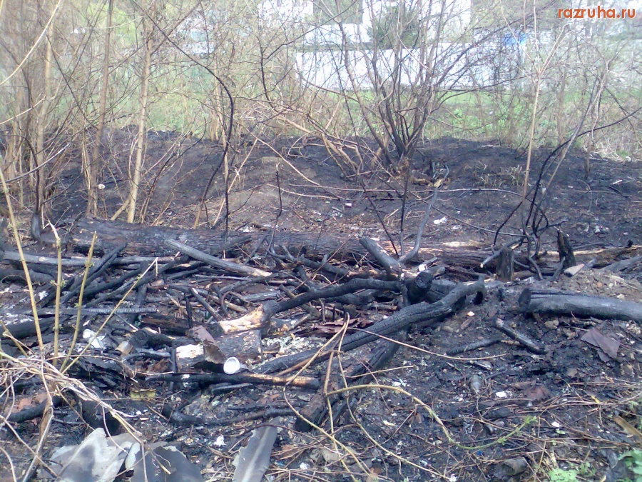 Курск - Пал мусора