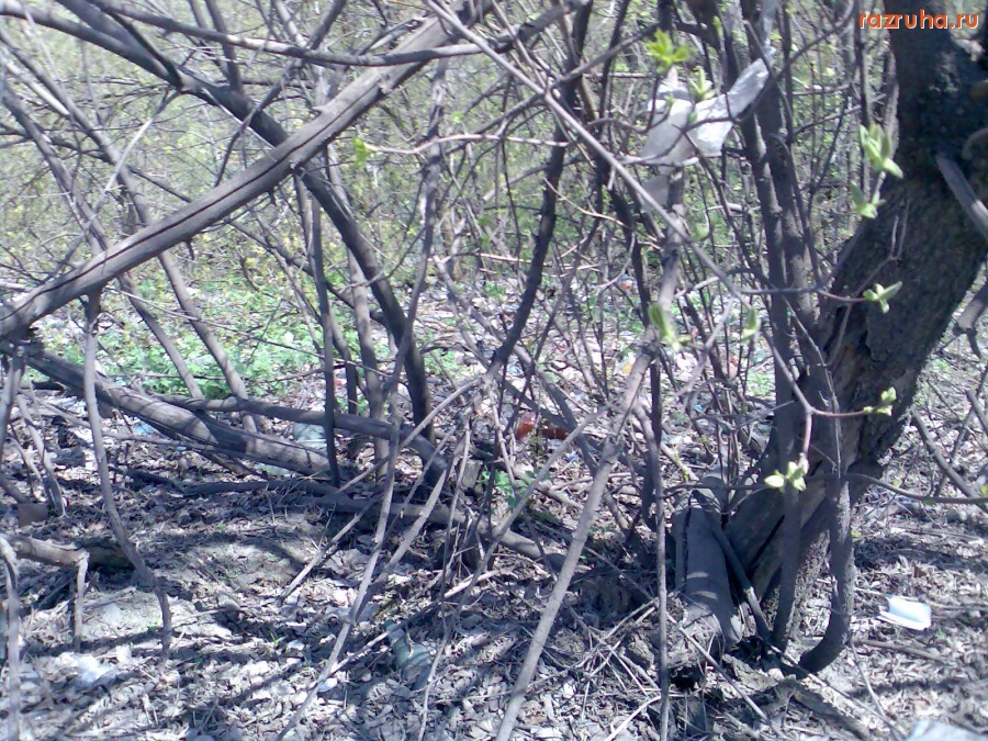 Курск - Мусор на Запольной