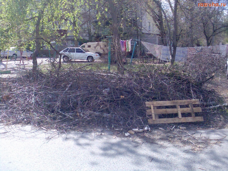 Курск - Куча веток