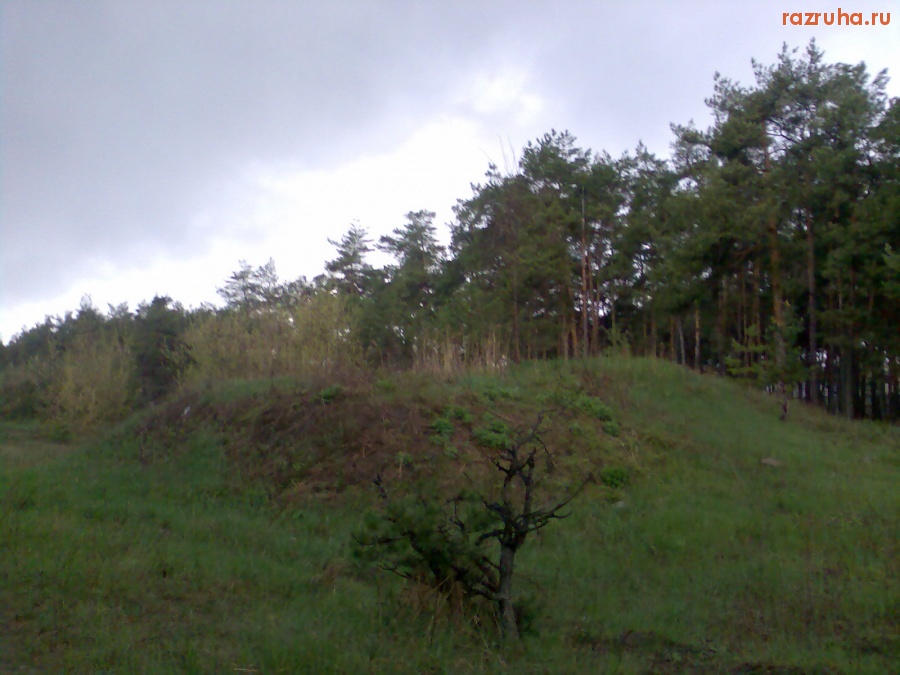 Курск - Люки в лесу