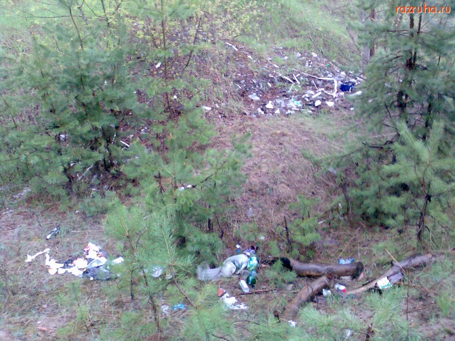 Курск - Мусор в лесу