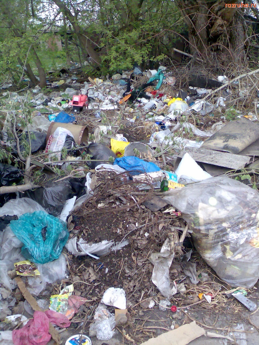 Курск - Помойная дикость