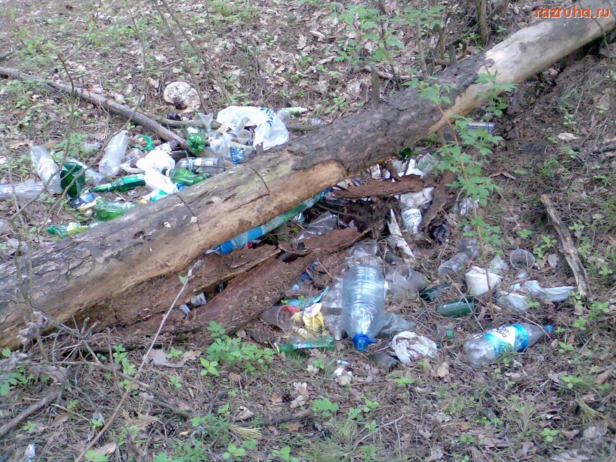 Курск - Яма с мусором