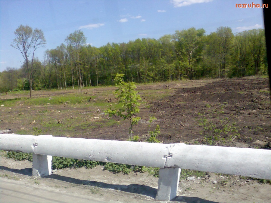 Курск - Вырубка в Соловьной роще