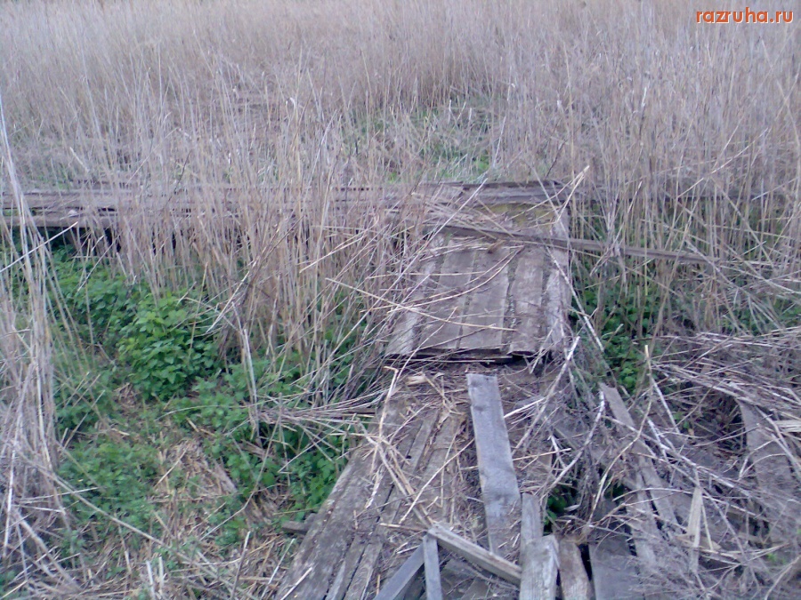 Курск - Мостик на болоте