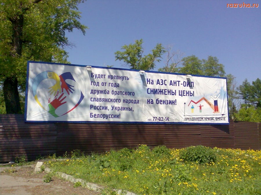 Курск - Путирастический маразм