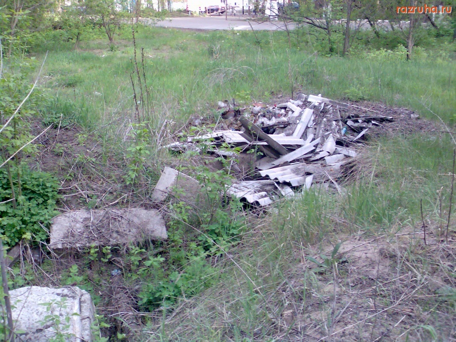 Курск - Хлам в лесу