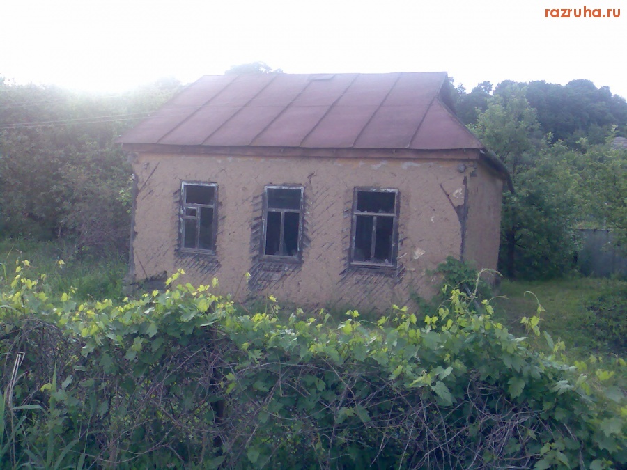 Курск - Домик на болоте