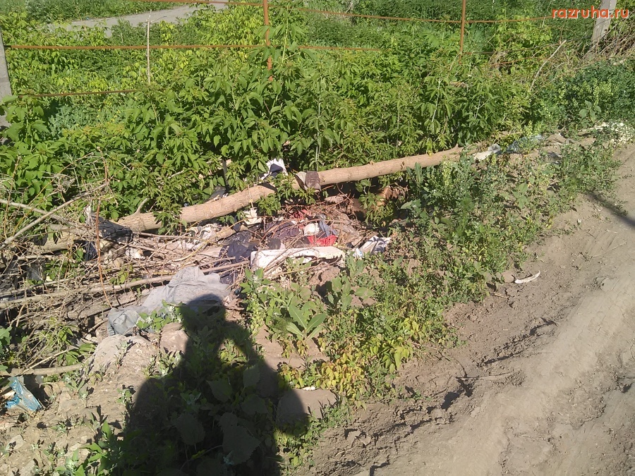 Курск - Загаживают природу