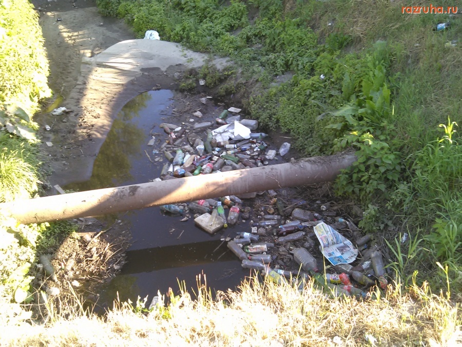 Курск - Мусор в Вонючке