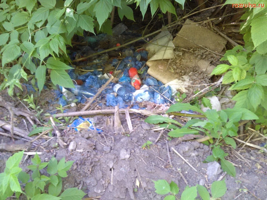 Курск - Бутылки в кустах