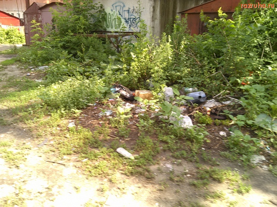 Курск - В гаражах