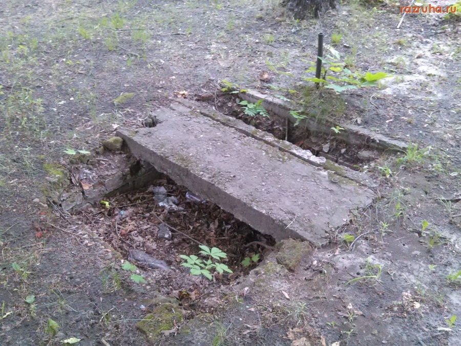 Курск - Нечто в парке