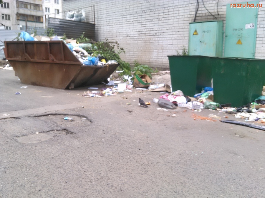 Курск - Помойка у РГСУ