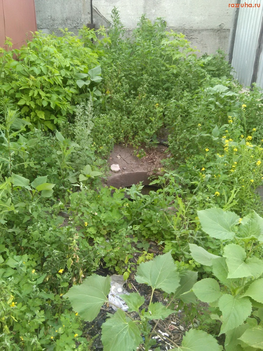 Курск - Люк в гаражах