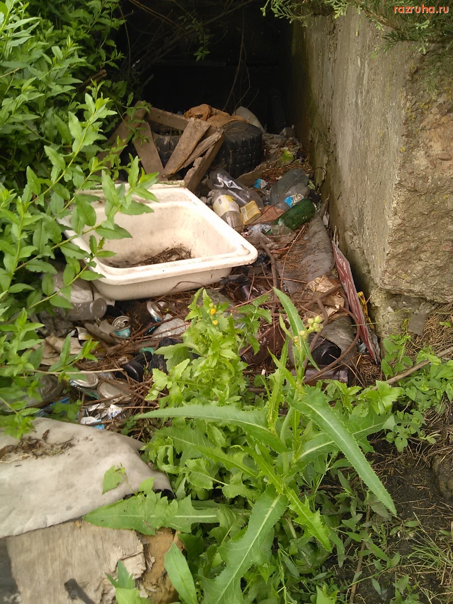 Курск - Загаженная дыра