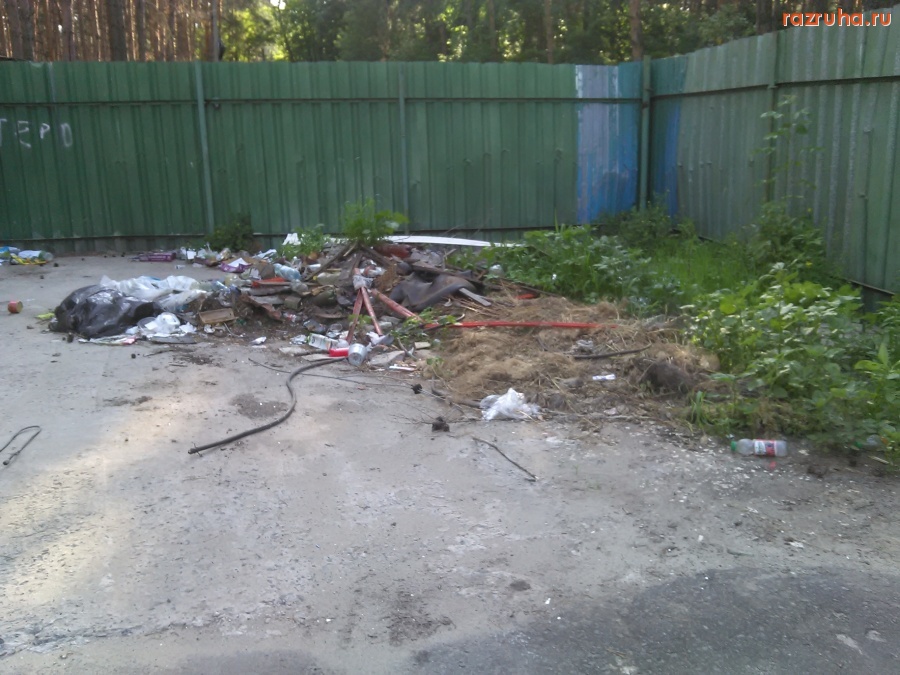 Курск - Помойка в деревне