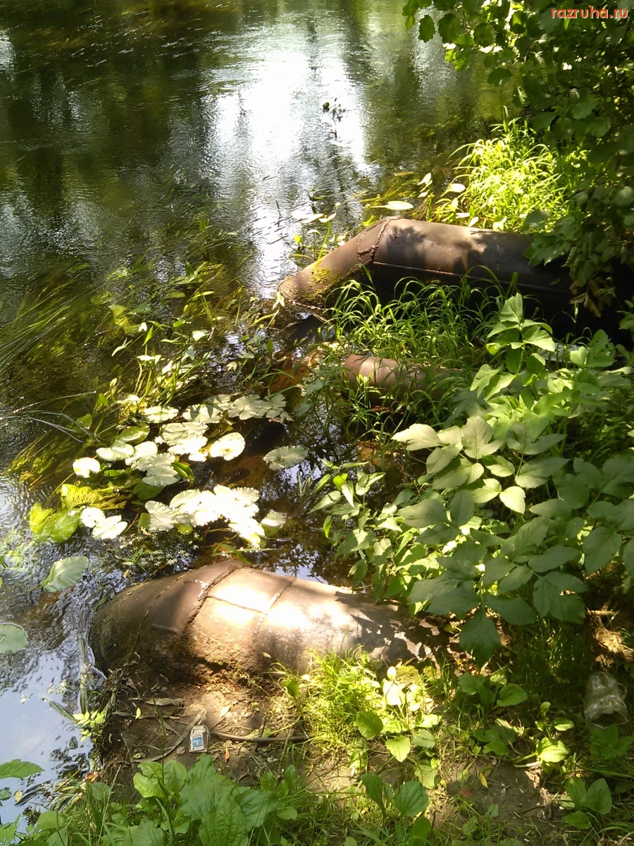Курск - Люк на побережье