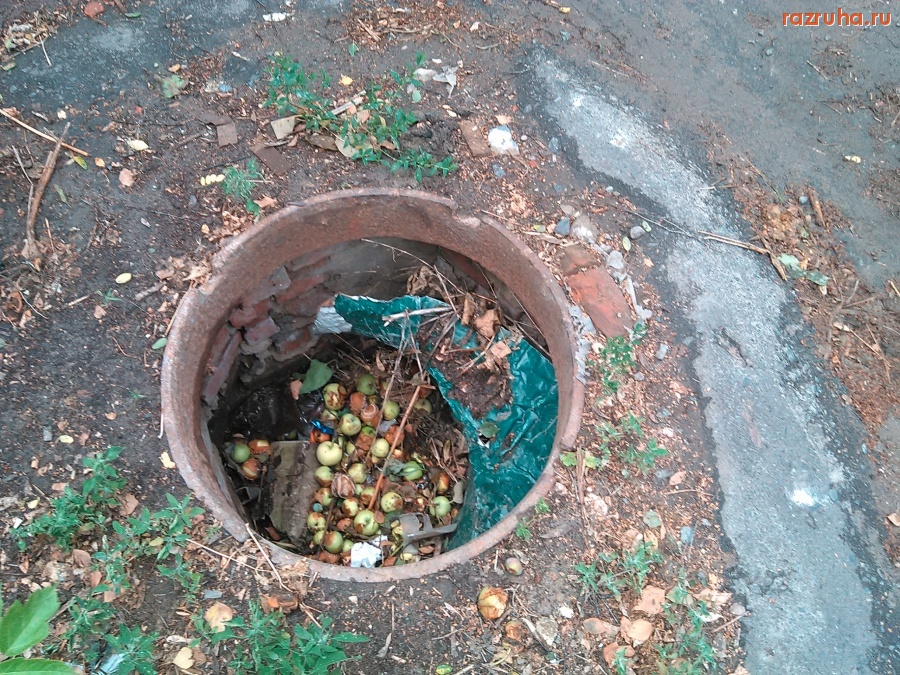 Курск - Люк с яблоками