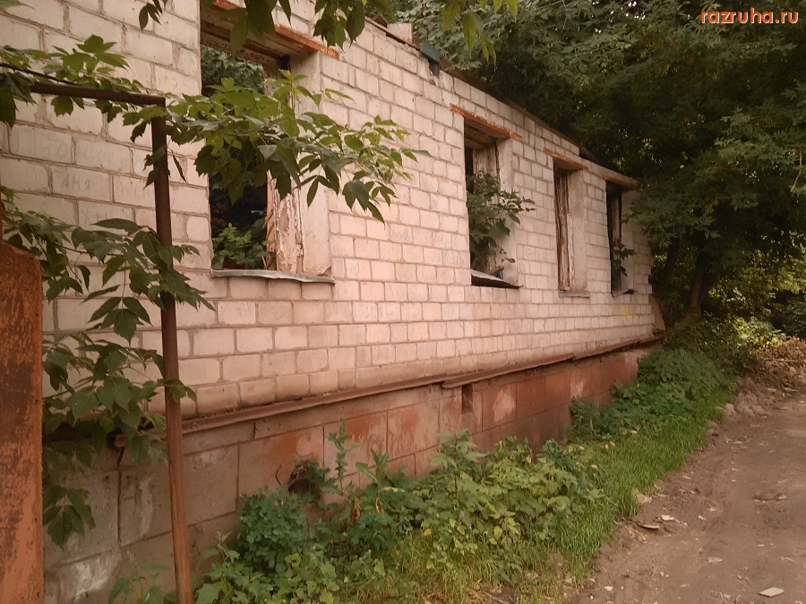 Курск - И из окна видно лес