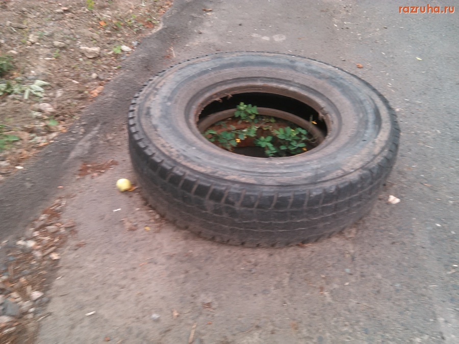 Курск - Люк на Кузнечной улице