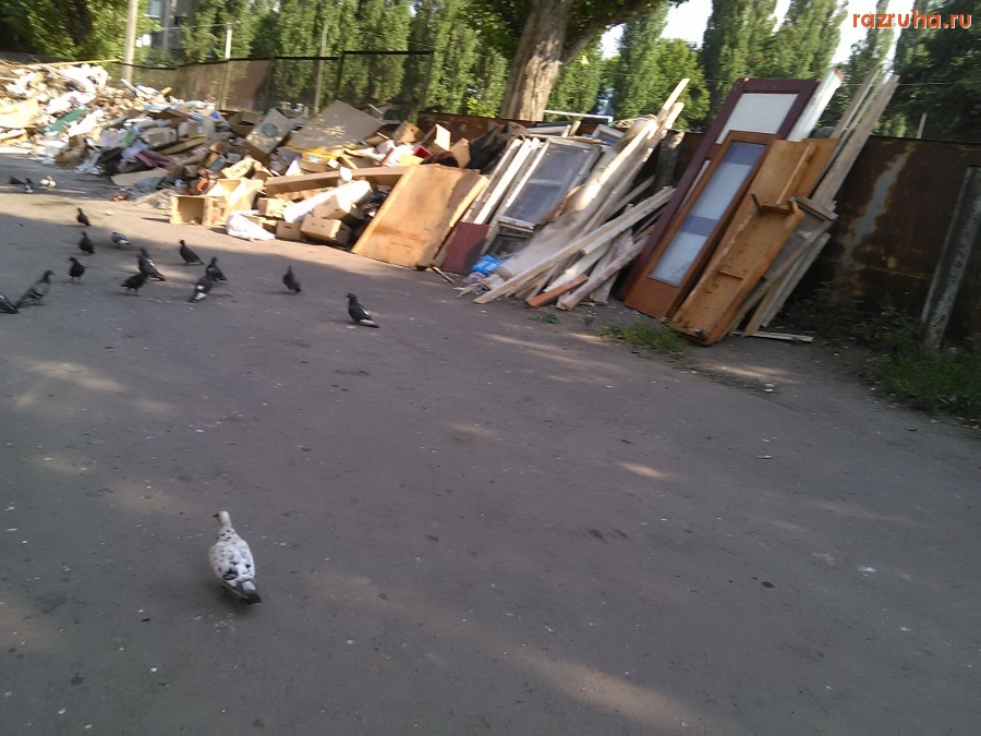Курск - Помойка возле 29 школы