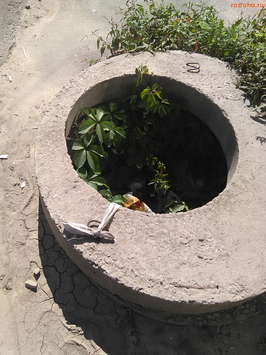 Курск - Открытый люк зарос