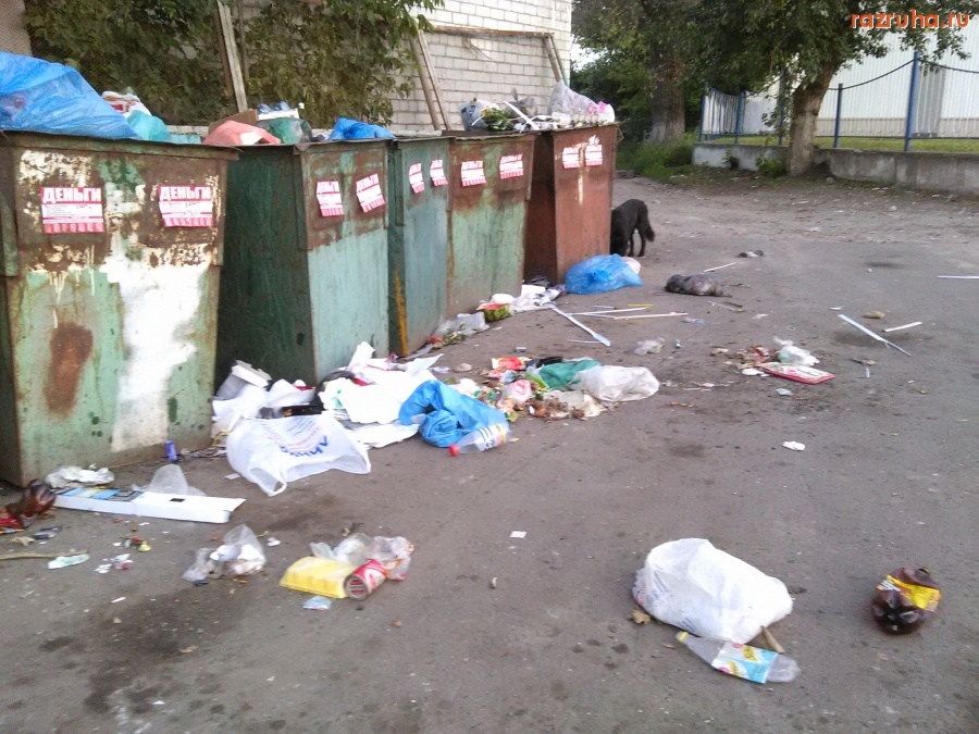 Курск - Помойка на 3 Шоссейном вчера